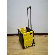 Carritos de la compra de comestibles para personas mayores