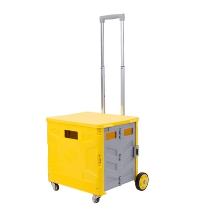 Carro de la compra plegable rodante