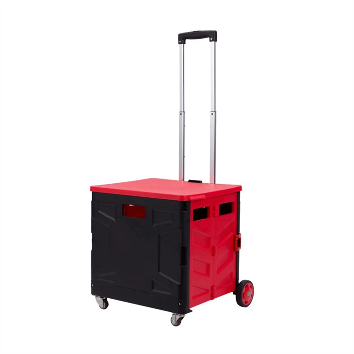 Carro de compras plegable 2 en 1 con ruedas